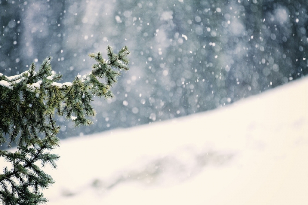 Ихэнх нутгаар хүйтний эрч чангарна