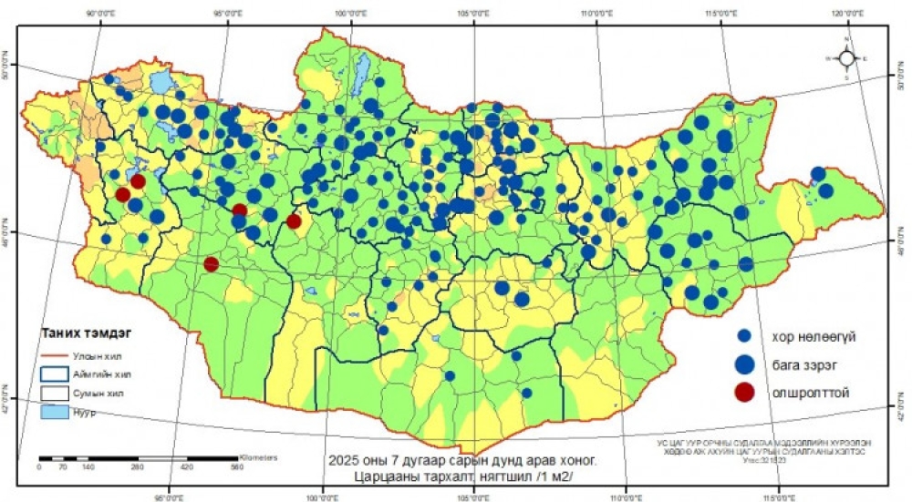 Ховд, Говь-Алтай, Завхан, Баянхонгор аймагт Царцааны нүүдэл их байна