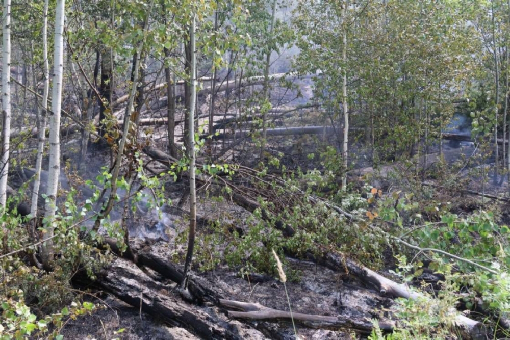 63 ой хээрийн түймрээс 51 түймрийг бүрэн унтраалаа