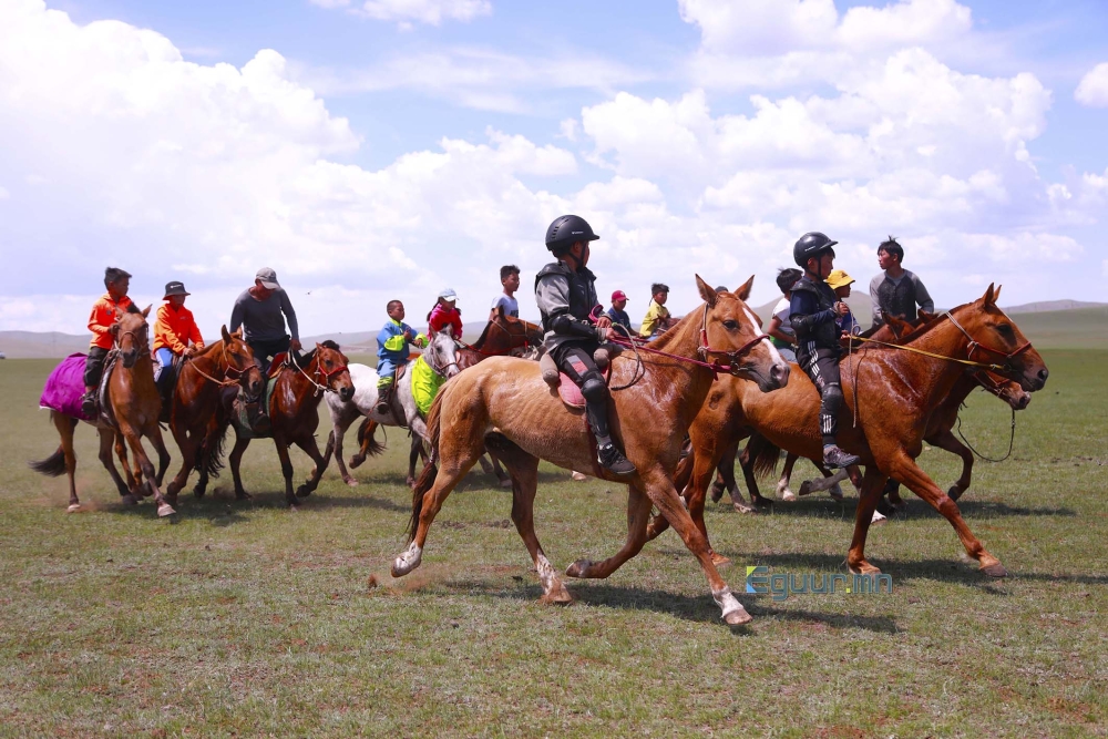 Улсын баяр наадмын үеэр 11 хүүхэд мориноосоо унажээ