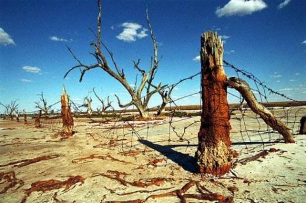 2040 он гэхэд Монгол улсын нийт ойн 50 хувь устах аюул ирээд байна