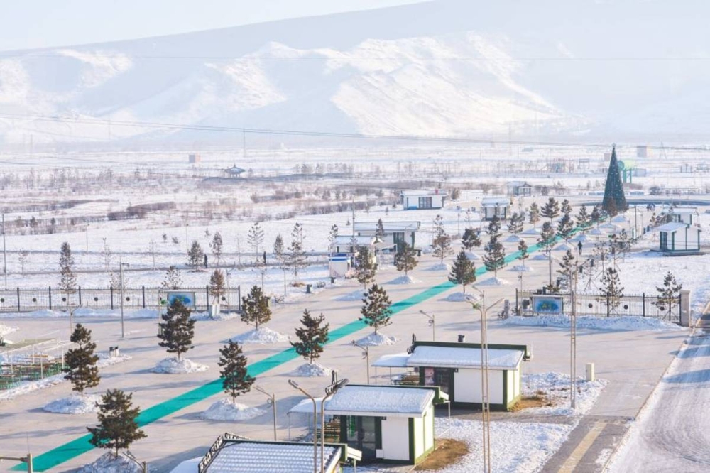 Үндэсний цэцэрлэгт хүрээлэнд 4500 гаруй нэр төрлийн мод, бут суулгажээ