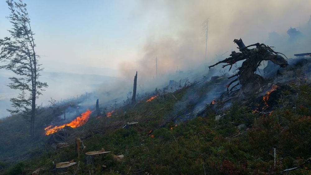 Гал түймрийн эрсдэлтэй 19 сум байна