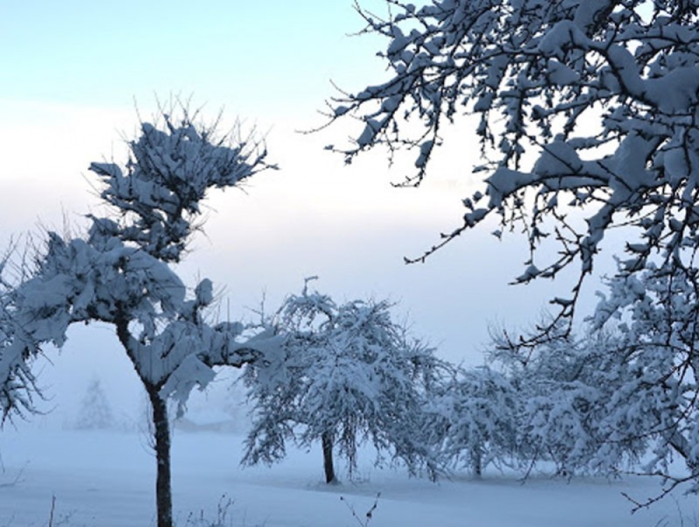 Төвийн бүс нутгаар цочир хүйтэрнэ